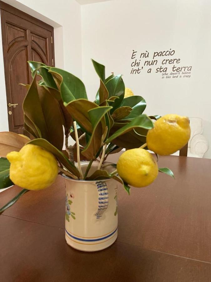 B&B Casa Letizia Trentinara Luaran gambar